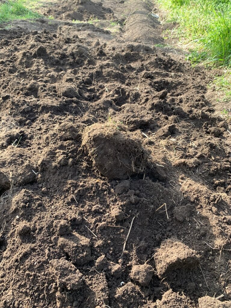 スコップで掘り起こした際の土の塊