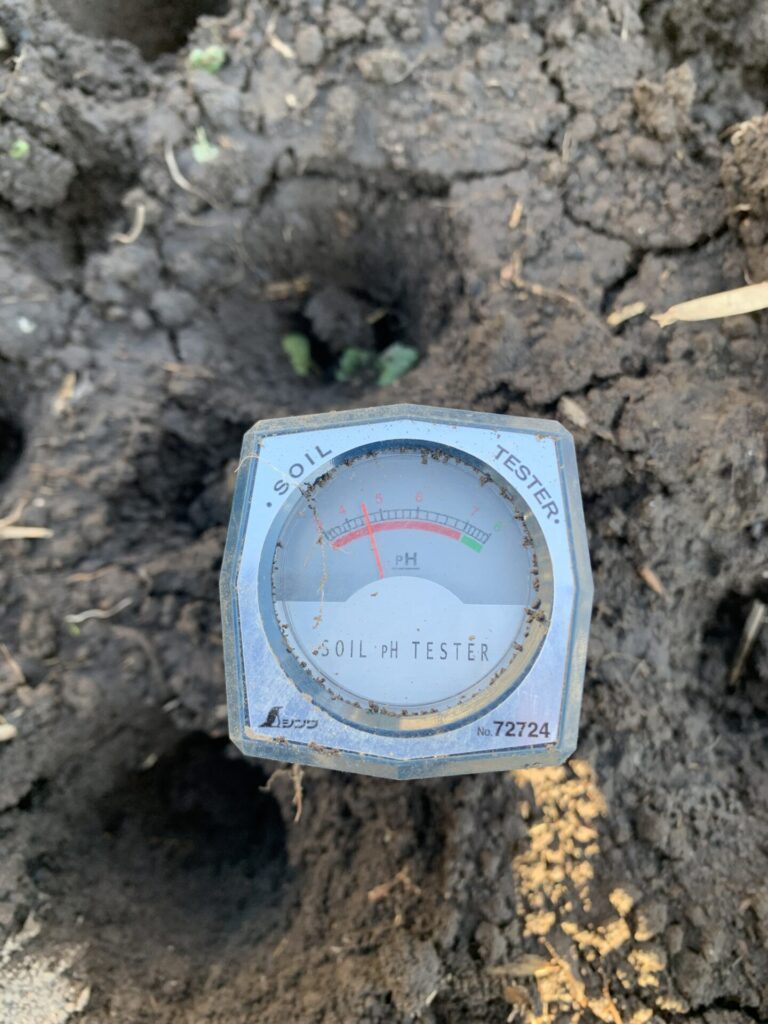土壌酸度の測定結果phは4.5
