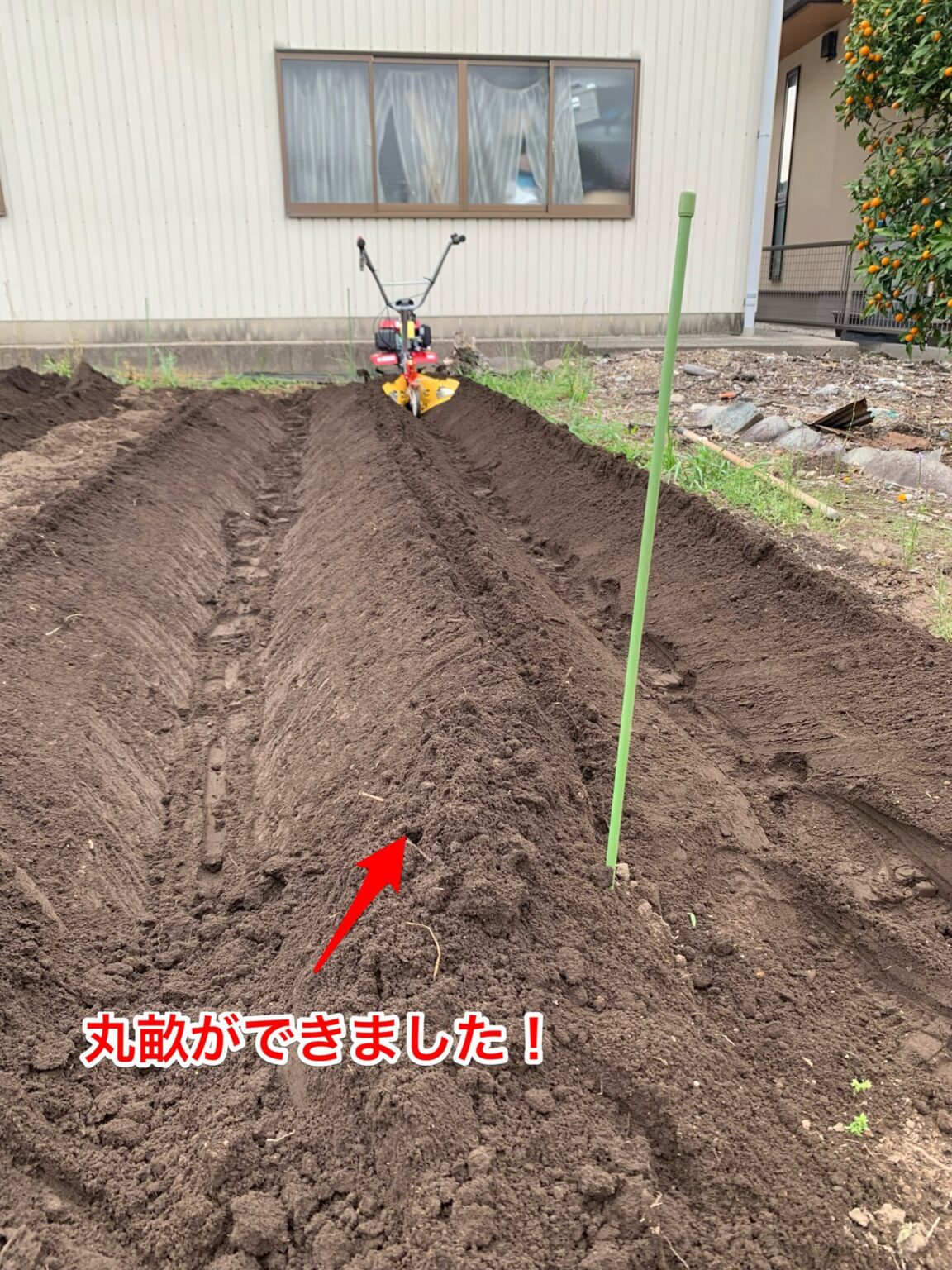 【簡単すぎ!】ニューイエロー培土器を使った畝立ての実例紹介(丸畝・平畝) | 2.5坪の庭blog