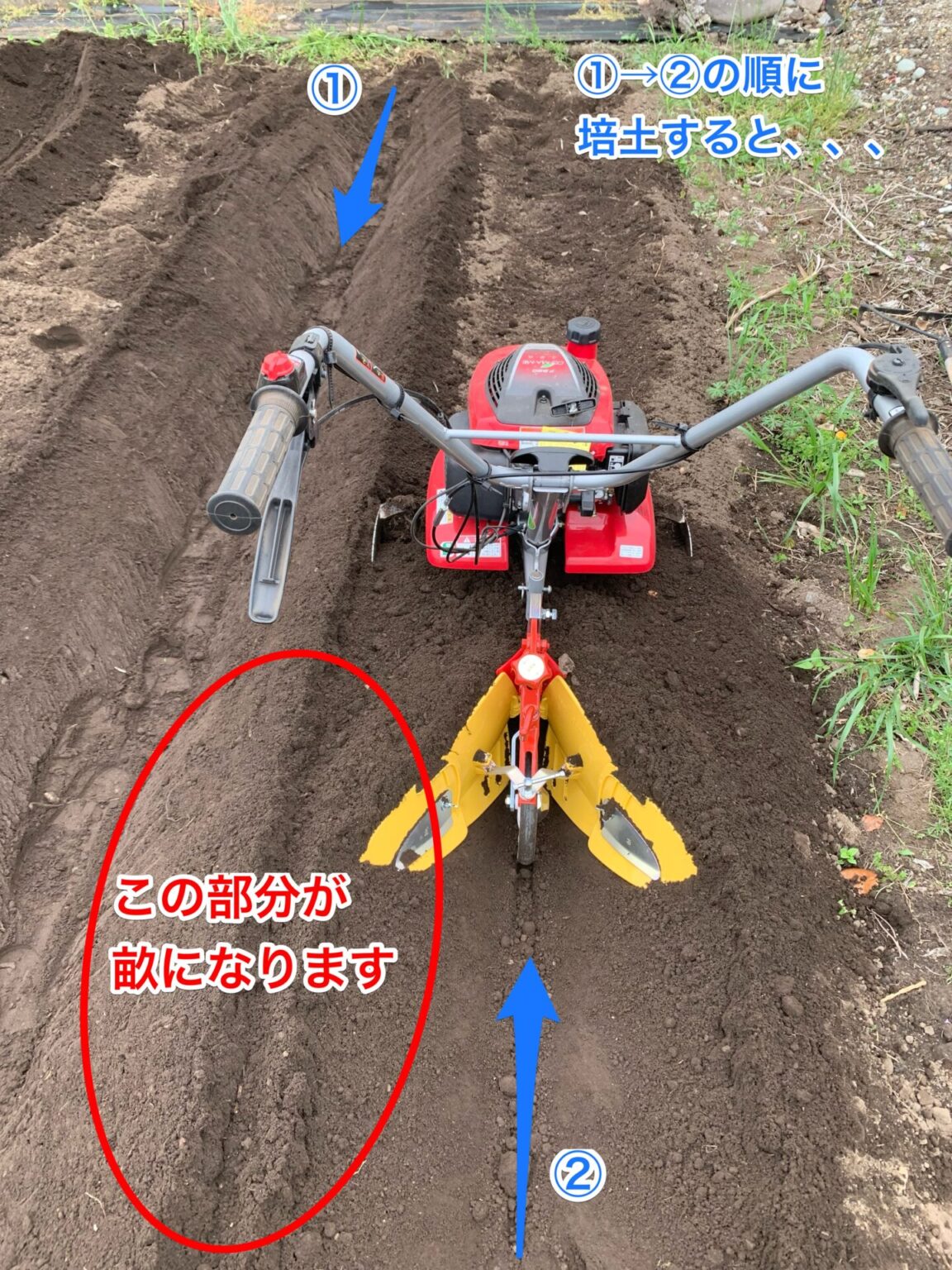 【簡単すぎ!】ニューイエロー培土器を使った畝立ての実例紹介(丸畝・平畝) | 2.5坪の庭blog